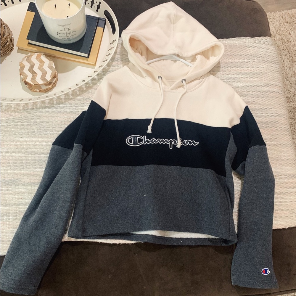 CROPPED CHAMPION SWEATER